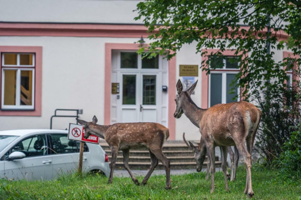 Tatrystay Apartmany Lomnica Татранска Ломница Экстерьер фото